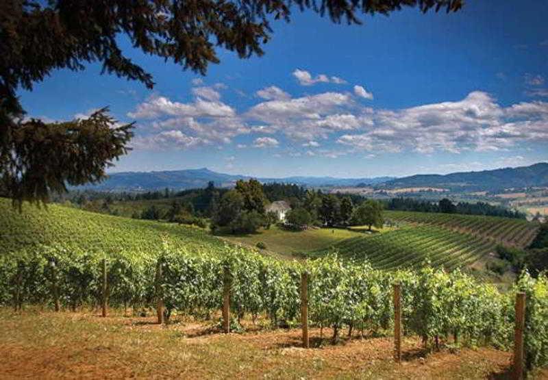 Residence Inn Portland Hillsboro Bagian luar foto